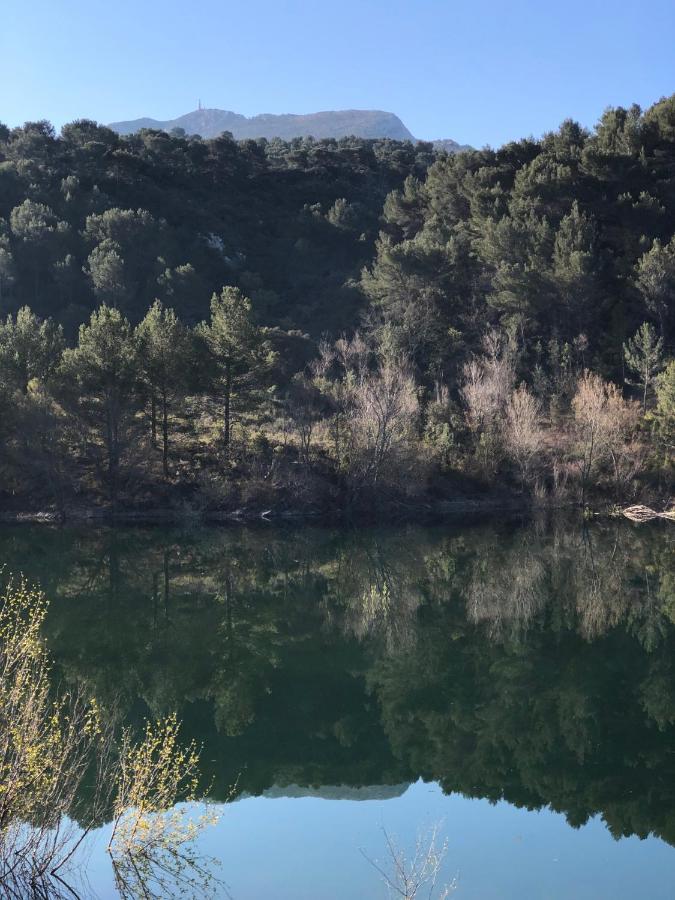 Au Havre De Paix Sainte Victoire Vauvenargues Hotel Екстериор снимка