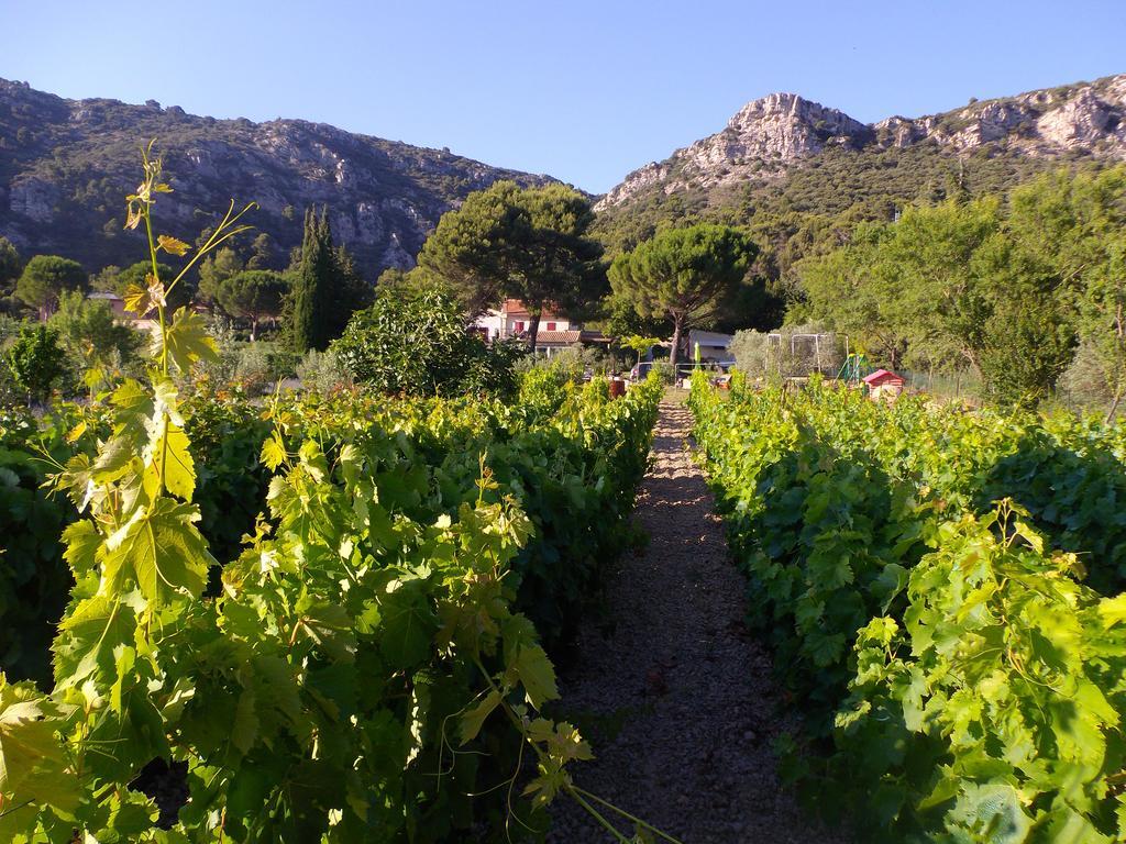 Au Havre De Paix Sainte Victoire Vauvenargues Hotel Екстериор снимка