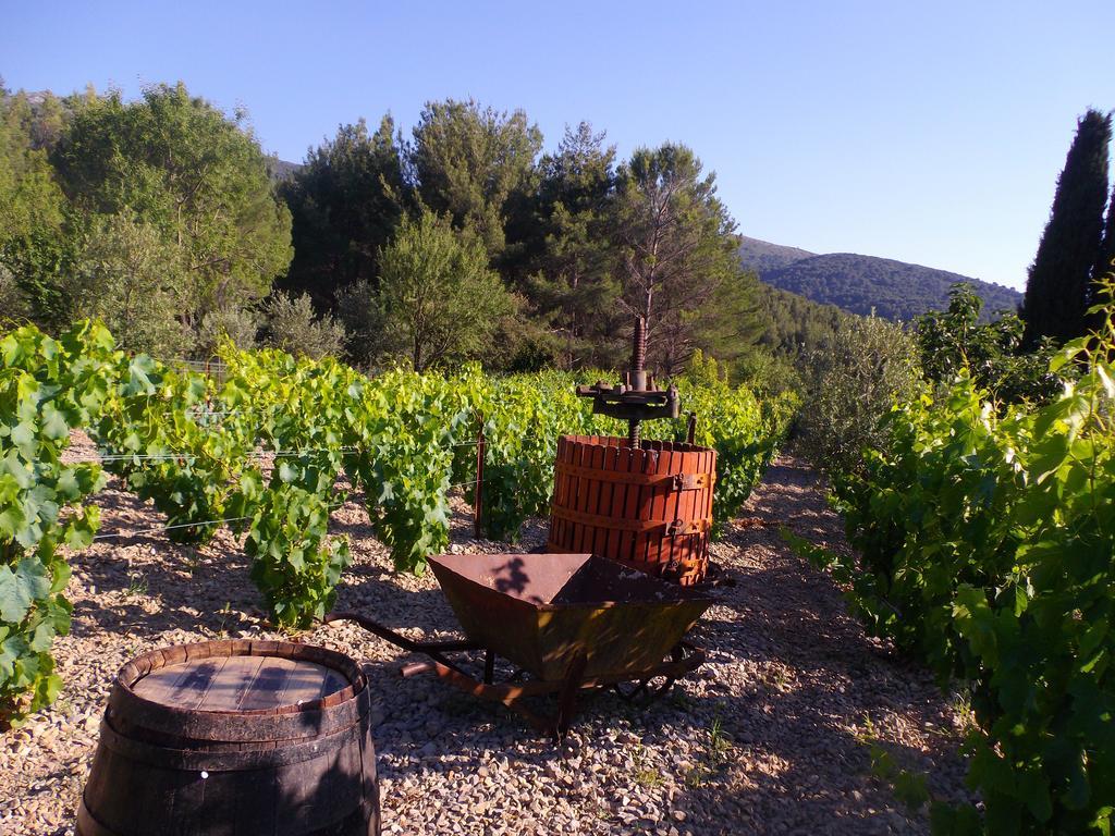 Au Havre De Paix Sainte Victoire Vauvenargues Hotel Екстериор снимка